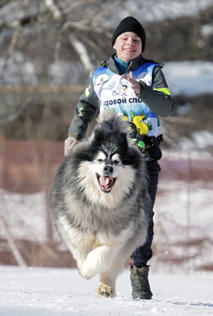 ребенок бежит с собакой на соревнованиях